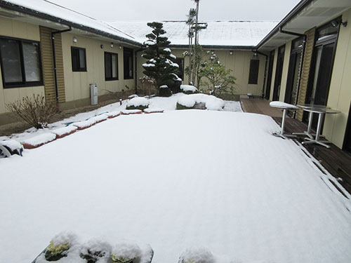 雪の中庭