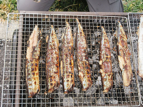 さんまの炭火焼き